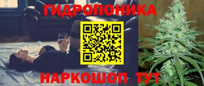 МДПВ Аша