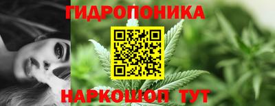 винт Ачхой-Мартан