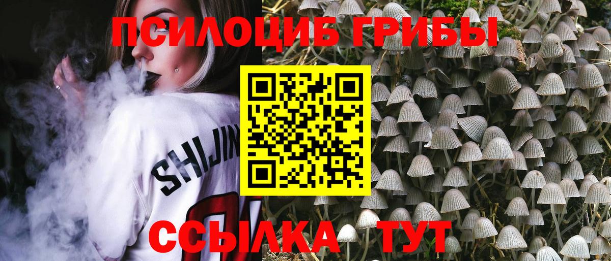 Галлюциногенные грибы Psilocybine cubensis Балахна