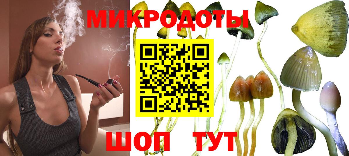 Галлюциногенные грибы Cubensis  Вход с VPN  Балахна 